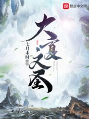 大夏文圣完本TXT