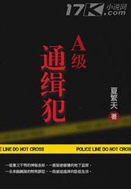 A级通缉犯和S级通缉犯