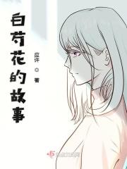 白芍药花诗句