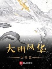 大明风华齐王是谁
