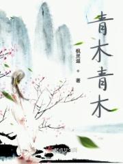 青木青木川古镇