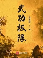 武功有多厉害