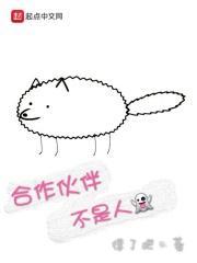 合作伙伴叫什么