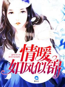 苏简安陆薄言什么