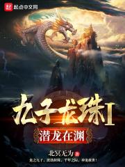 九龙珠什么意思