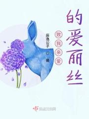 我说的致爱丽丝