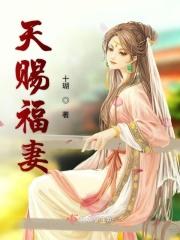 天赐福妻txt