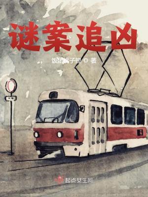 谜案追凶完本