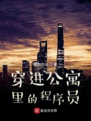 爱情公寓里的梗