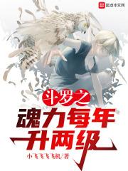 斗罗之魂力每年升两级e