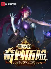 伽罗的历史原型