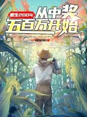 重生之2004年