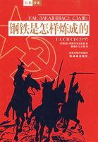钢铁是怎样炼成的第六章概括