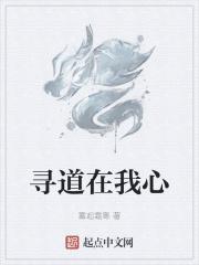 寻道诗词