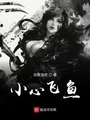 小心飞鱼全文免费阅读