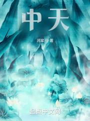 中天建设集团有限公司