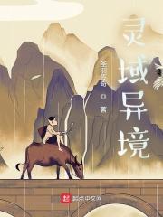 灵域各种境界