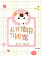 红豆沈静柔txt