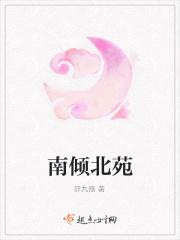 网名南倾什么意思