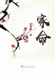 家禽生肖是哪几个肖