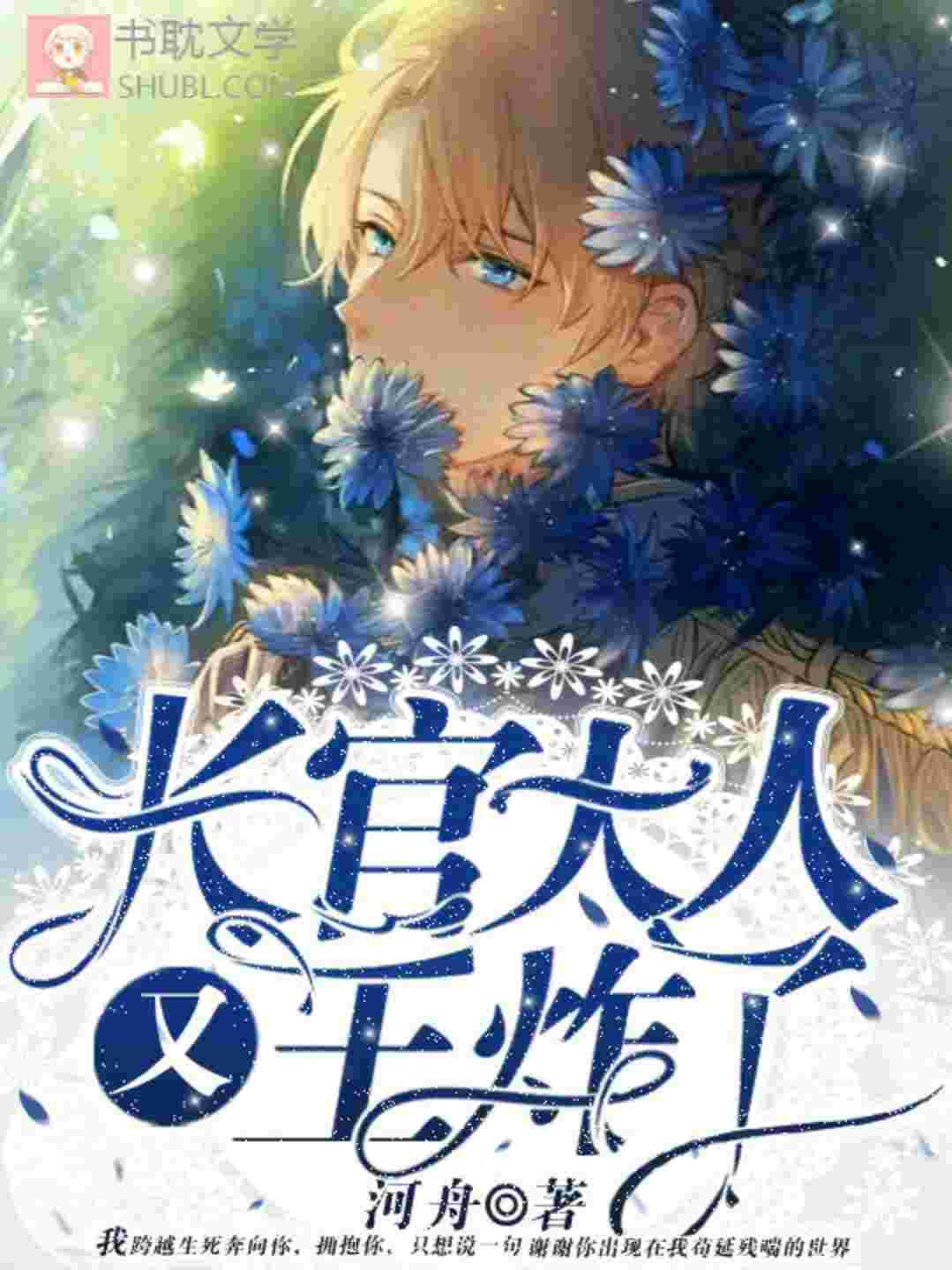 长官大人又王炸了 书耽