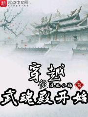 穿越到武魂世界的