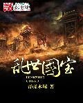 乱世护宝电影