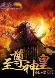 至尊神皇叶辰全集免费