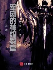 海贼之军团系统