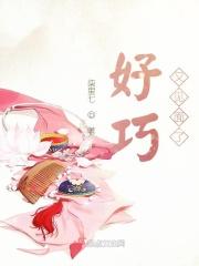 好巧又见面了许嘉乐免费阅读