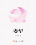 妻华 笔趣阁