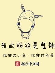 我的粉丝什么意思