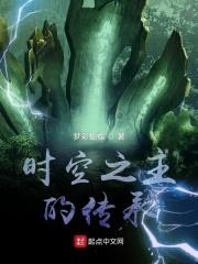 时空传承者