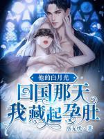 我藏起孕肚名