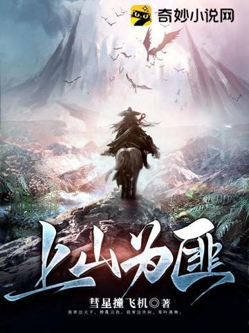 上山为匪沈三完整版