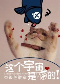 宇宙是个游戏