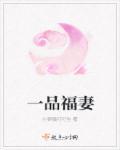 一品夫人简介