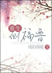 重生侧福晋 残阳落暖
