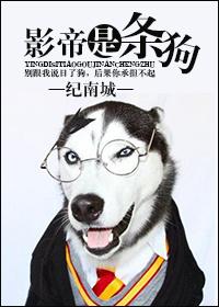 影帝是只猫by
