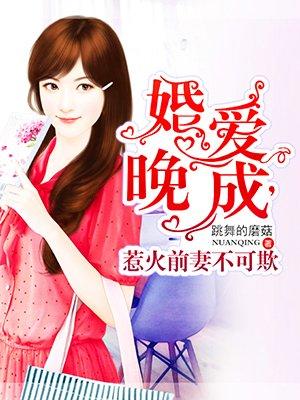婚情缠爱 前妻太难追