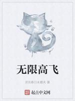 无限飞行图文教程