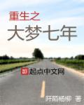 重生大梦七年顶点