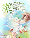 菜鸟的资料