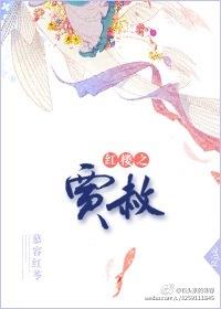 红楼之贾赦怀孕生太子