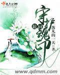 轮回武魂魂技