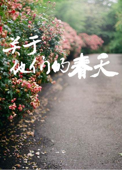 关于他们的春天讲的啥