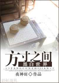 方寸之间书籍