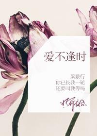 爱不逢时不痴不念后续