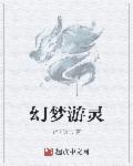 梦幻西游灵纂