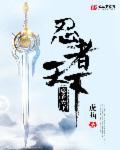 忍者天下 关于手柄图片